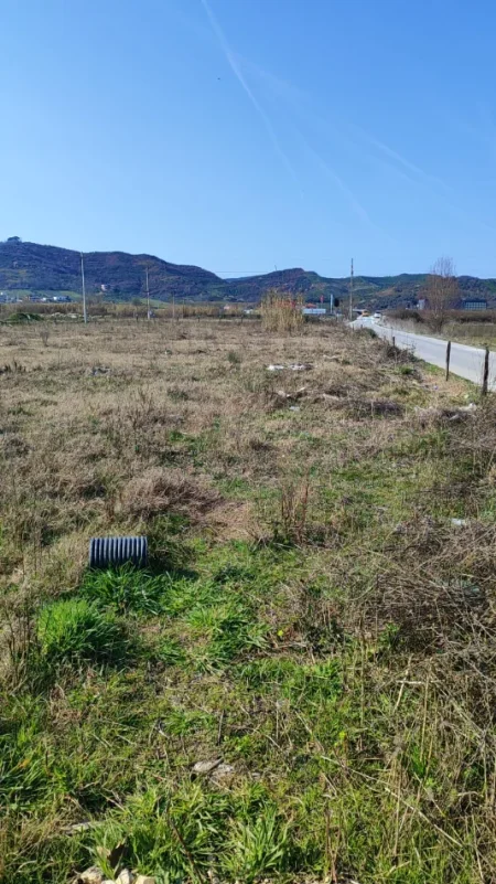 Shqiperi, jepet me qera , 