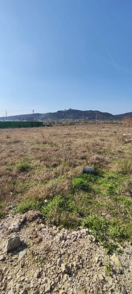 Shqiperi, jepet me qera , 