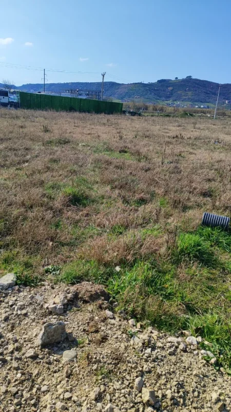 Shqiperi, jepet me qera , 