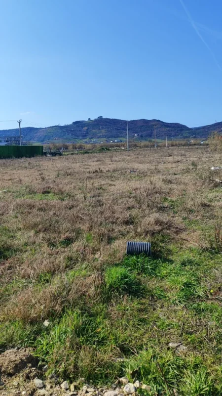 Shqiperi, jepet me qera , 