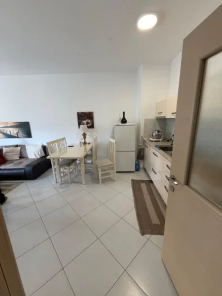 Tirane, shitet apartament 1+1 Kati 4, 68 m² 140.000 € (Prane Kopshtit Zoologjik)