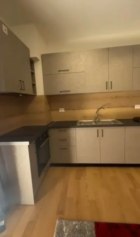 Tirane, jepet me qera apartament 1+1 Kati 3, 67 m² 550 € (Selite)