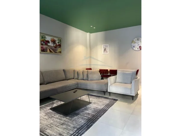 Tirane, jepet me qera apartament 1+1 Kati 3, 60 m² 500 € (Rruga e Dribres)