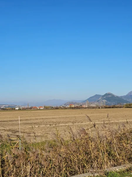 Lezhe, shitet , 3.750 m² 45.000 € (Ishull shengjin)