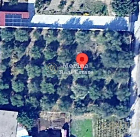 Fier, shitet toke , 750 m² 45.500 € (Fier)