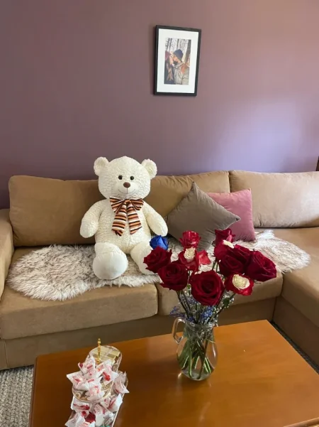 Tirane, jepet me qera apartament 1+1+Ballkon Kati 2, 65 m² 650 € (RRUGA E ELBASANIT)