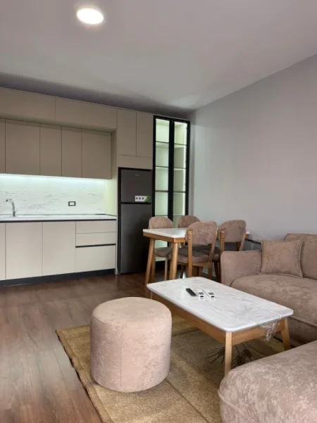 Tirane, jepet me qera apartament 1+1 Kati 5, 69 m² 700 € (Bulevardi i ri)