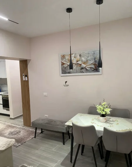Tirane, jepet me qera apartament 1+1 Kati 1, 60 m² 750 € (LICEU ARTISTIK)