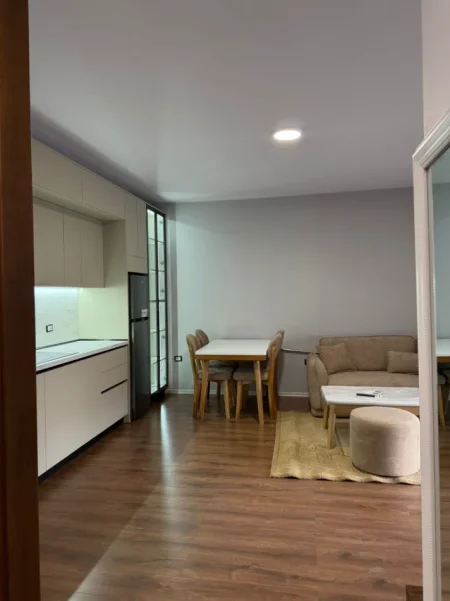 Tirane, jepet me qera apartament 1+1+Ballkon Kati 5, 65 m²,650 E, (Bulevardi i Ri, Rruga Filip Jano, Tiranë.)