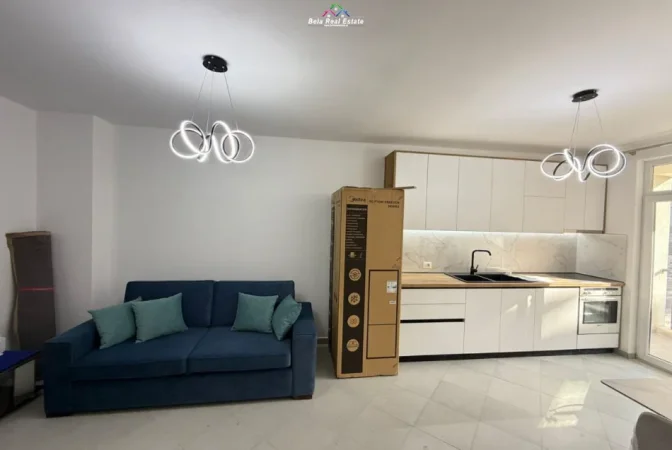 Tirane, jap me qera apartament 1+1+Ballkon Kati 1, 52 m² 500 € (rruga e dibres)
