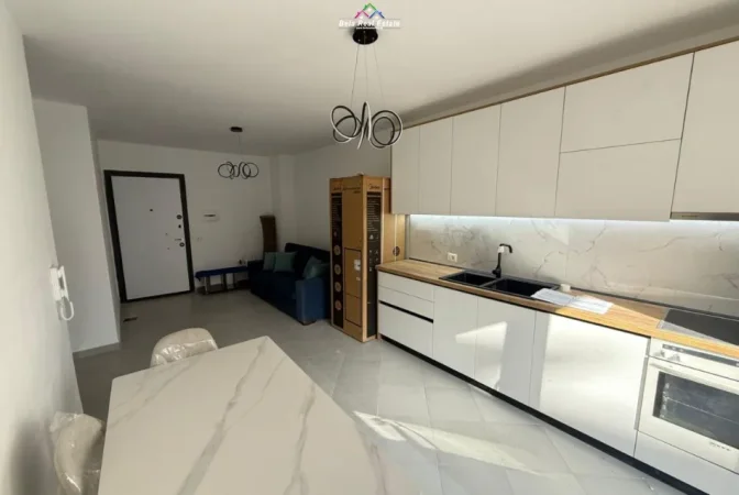 Tirane, jap me qera apartament 1+1+Ballkon Kati 1, 52 m² 500 € (rruga e dibres)
