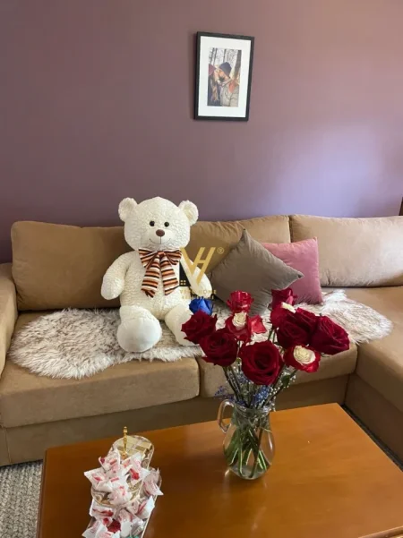 Tirane, jepet me qera apartament 1+1+Ballkon Kati 1, 65 m² 580 € (RRUGA E ELBASANIT)