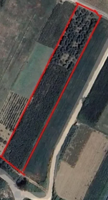 Tirane, shitet toke , 2.700 m² 81.000 € (Autostrada Tirane Durres)