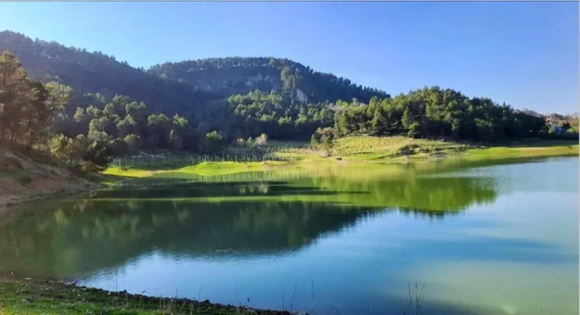 Tirane, shitet toke , 7.000 m² 735.000 € (Autostrada Tirane Durres)