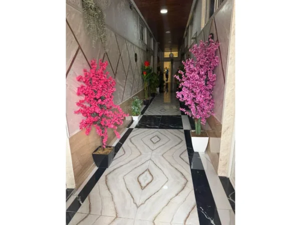 Tirane, jepet me qera apartament 1+1 Kati 1, 50 m² 400 € (Ali Demi)