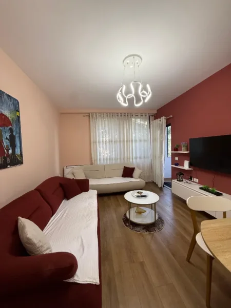 Tirane, jepet me qera apartament 1+1 Kati 1, 70 m² 750 € (RRUGA E BARRIKADAVE)