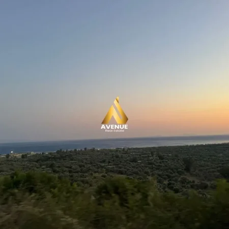 Borsh, shitet toke ne bregdet , 1.100 m² (Borsh)