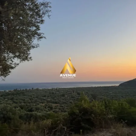 Borsh, shitet toke ne bregdet , 1.100 m² (Borsh)