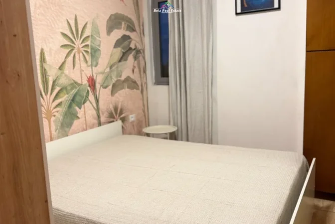 Tirane, jepet me qera apartament 1+1 Kati 2, 65 m² 420 € (Rruga Aleksandri i Madh)