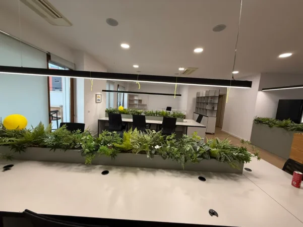 Tirane, jepet me qera zyre Kati 2, 180 m² 2.500 € (Delijorgj)