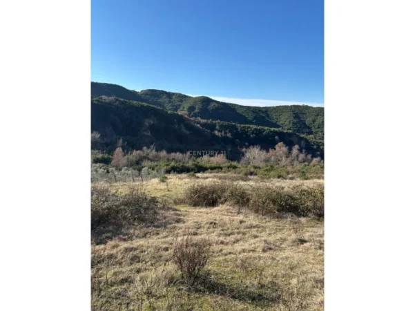 Tirane, shitet toke , 20.000 m² 600.000 € (Ferraj)