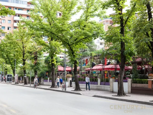 Tirane, shitet ambjent biznesi Kati 0, 178 m² (blloku)