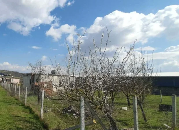 Tirane, shitet nga Pronari, pa-komision magazine Kati 0, 1.760 m² 220.000 € (rruga e serave)