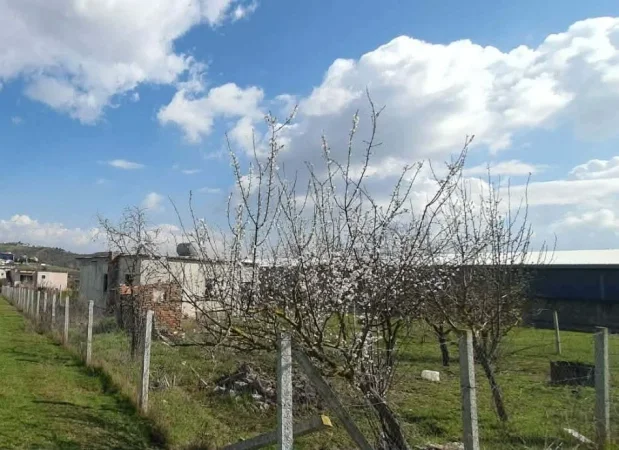 Tirane, shitet truall , 1.760 m² 220.000 € (rruga e serave)