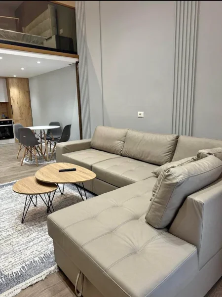 Tirane, jap me qera apartament duplex 1+1 Kati 0, 45 m² 450 € (rruga Teodor Keko)