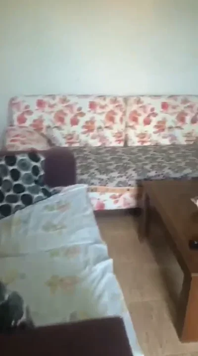 Tirane, jepet me qera apartament 1+1 , 64 m² 350 € (DON BOSKO)