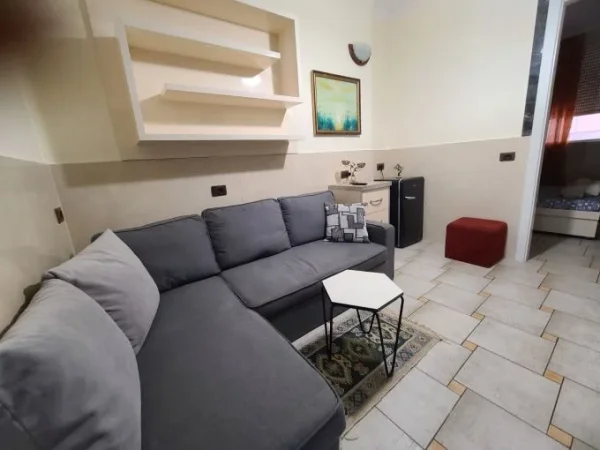 Tirane, jepet me qera apartament 1+1+Aneks+Ballkon Kati 2, 50 m² 430 € (rruga 5 maji , rruga ferit xhajko , concord center)