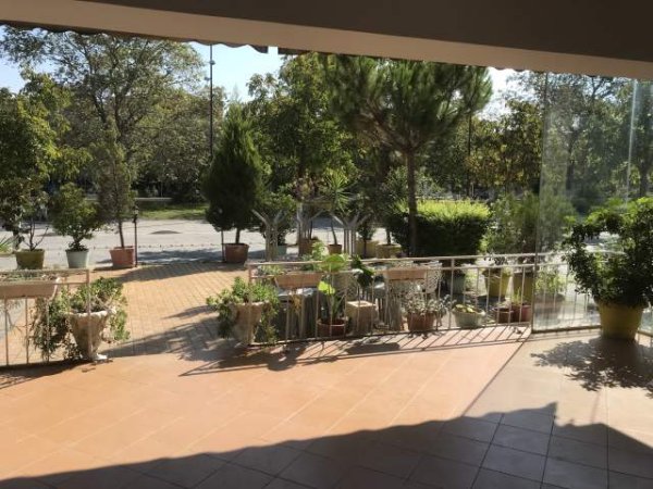Divjake, jepet me qera lokal Kati 0, 100 m² 35.000 Leke (Qender divjake)