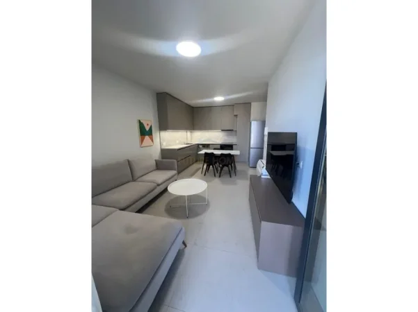 Tirane, jepet me qera apartament 1+1 Kati 5, 62 m² 600 € (ish dogana)