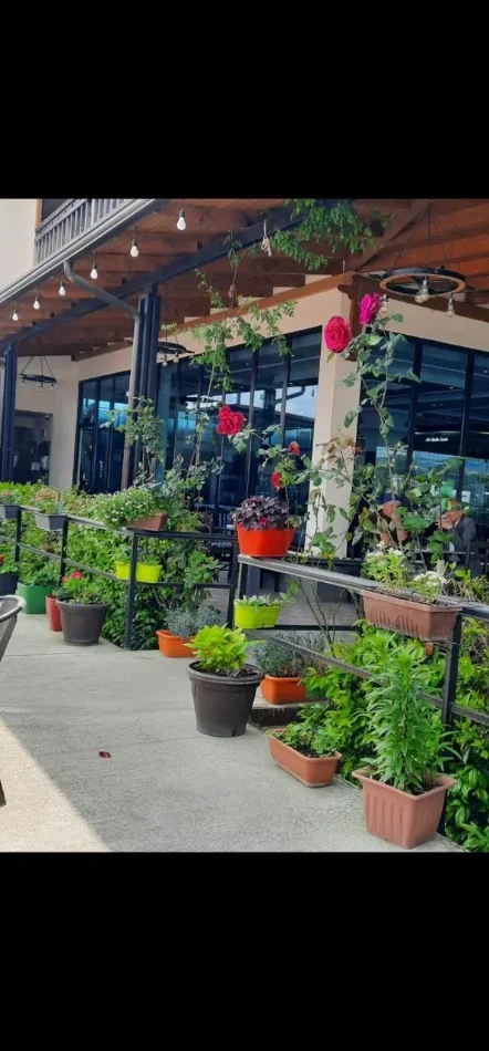 Tirane, shitet hotel Kati 0, 1.000 m² 800.000 € (Vore)