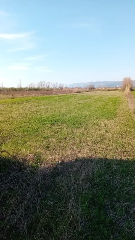 Lezhe, shitet toke  12 500 m² (Shengjin)