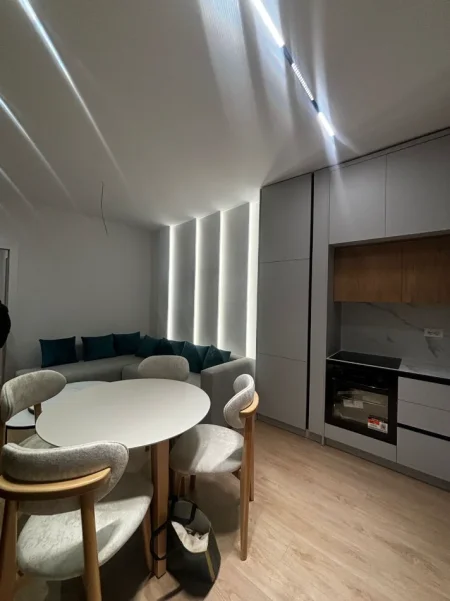 Tirane, jepet me qera apartament 1+1 Kati 1, 600 € 