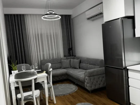 Tirane, jepet me qera apartament 1+1+Ballkon Kati 6, 50 m² 450 € (ALI DEMI)