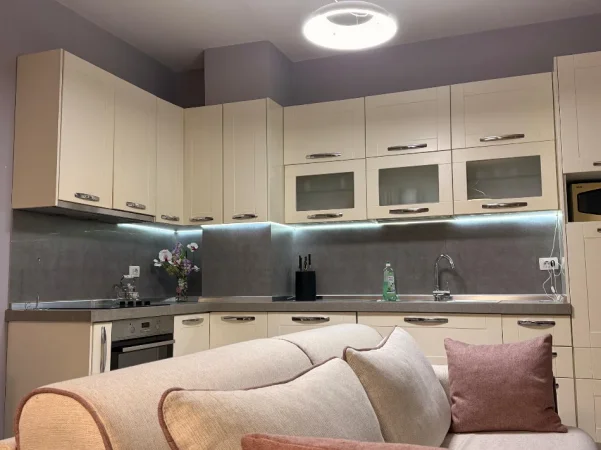 Tirane, jepet me qera apartament 1+1+Ballkon Kati 1,