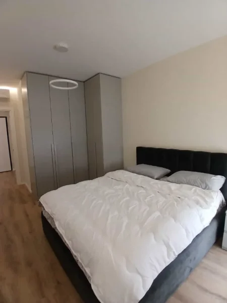 Tirane, jepet me qera apartament 1+1 Kati 1, 67 m² 730 € (Rruga Dritan Hoxha)