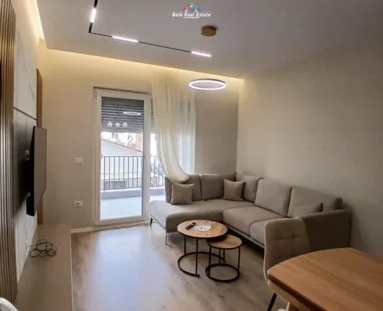 Tirane, jepet me qera apartament 1+1+Ballkon Kati 1, 67 m² 730 € (dritan hoxha)