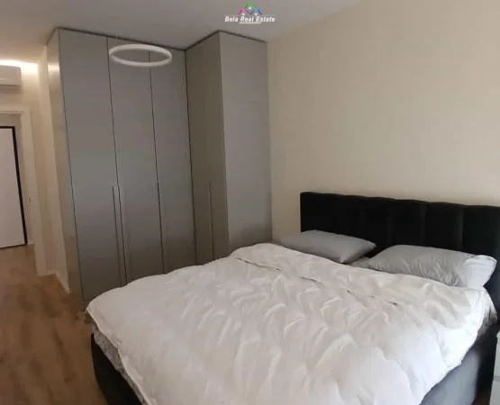 Tirane, jepet me qera apartament 1+1+Ballkon Kati 1, 67 m² 730 € (dritan hoxha)