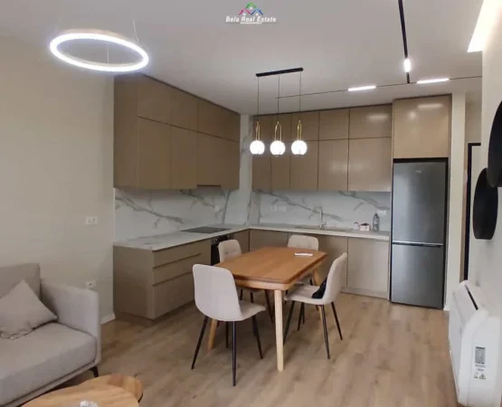 Tirane, jepet me qera apartament 1+1 Kati 1, 67 m² 730 € (Laprak)