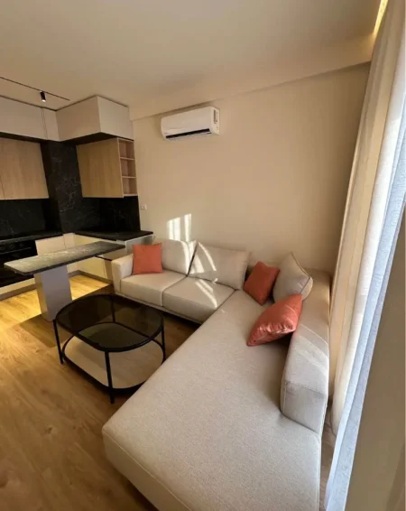 Tirane, jepet me qera apartament 1+1 , 60 m² 500 € 