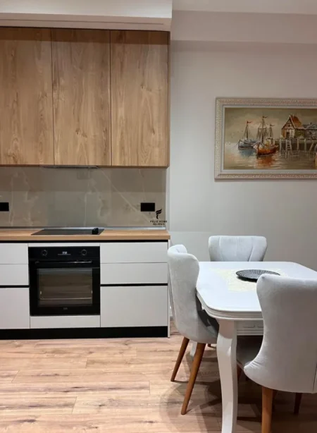 Tirane, jepet me qera apartament 1+1 Kati 1, 70 m² 600 € (MINE PEZA)