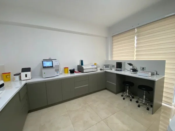 Tirane, jepet me qera ambjent biznesi Kati 4, 1.500 € (Rruga e Durrësit)