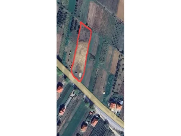 Pogradec, shitet , 2.702 m² 80.000 € (Leshnicë)