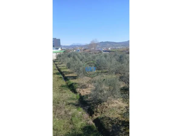 Durres, shitet toke , 3.150 m² (maminas "BUZE AUTOSTRADES",)