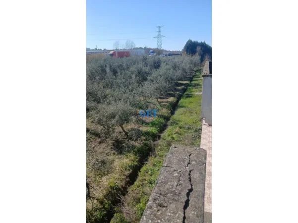 Durres, shitet toke , 3.150 m² (maminas "BUZE AUTOSTRADES",)