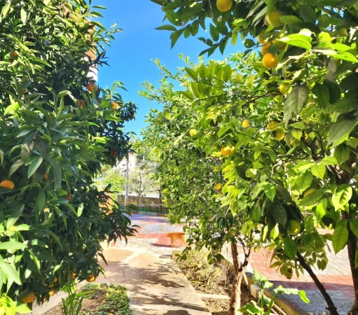 📌Jepet me Qira : Shtëpi Private 70m2 + Tokë 150m2 -📍 Mullet -TEG 400€ me 2 vende parkimi, E re ,hera parë me Qira ( 3 min nga tegu)🔥