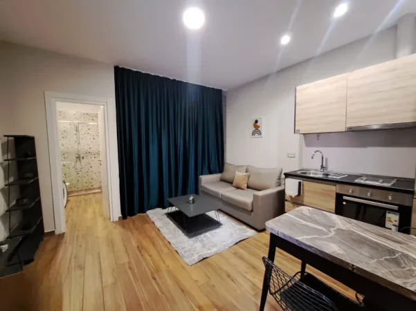 Tirane, jepet me qera apartament 1+1+Aneks+Ballkon Kati 0, 40 m² 380 € (kinostudio , porcelan)